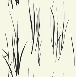  Paper Ink Coastal Chic co10800