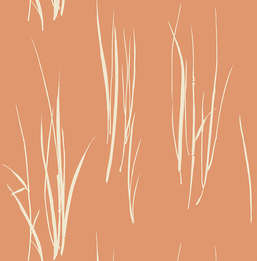 Обои Paper Ink Coastal Chic co10801