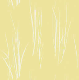  Paper Ink Coastal Chic co10803