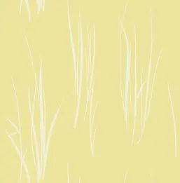  Paper Ink Coastal Chic co10803