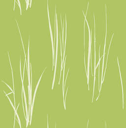 Обои Paper Ink Coastal Chic co10804