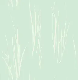  Paper Ink Coastal Chic co10814
