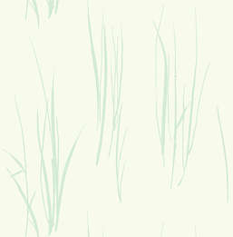 Обои Paper Ink Coastal Chic co10824