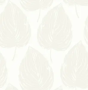  Paper Ink Coastal Chic co10900 -  1