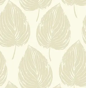  Paper Ink Coastal Chic co10915 -  1