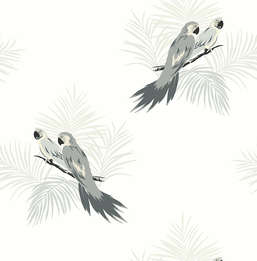  Paper Ink Coastal Chic co11200