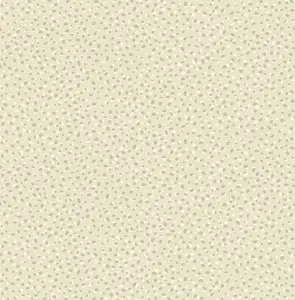  Paper Ink Coastal Chic co11400 -  1
