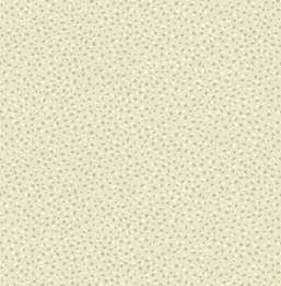  Paper Ink Coastal Chic co11400