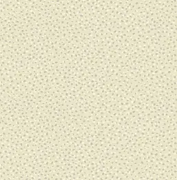  Paper Ink Coastal Chic co11400