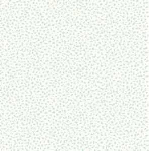  Paper Ink Coastal Chic co11401 -  1