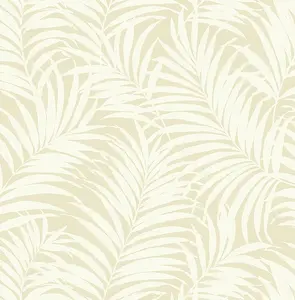  Paper Ink Coastal Chic co11605 -  1
