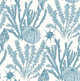  Paper Ink Coastal Chic co11802