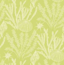  Paper Ink Coastal Chic co11814