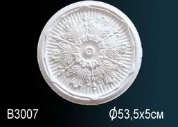      B3007