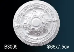      B3009