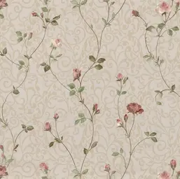  Prima Italiana Colomba 80604