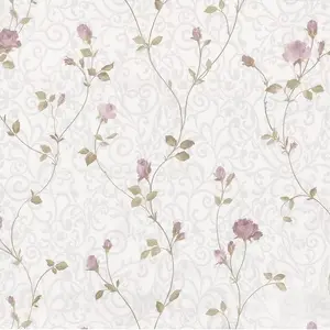  Prima Italiana Colomba 80605 -  1