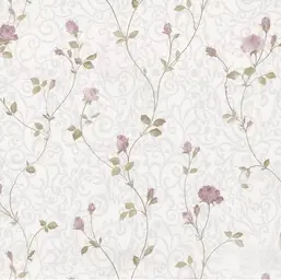  Prima Italiana Colomba 80605