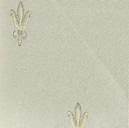  Print4 Donatello 4710Y1
