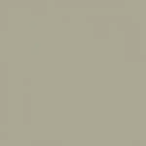  ProSpero Raw Elegance 343-345705 -  1