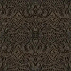  ProSpero Raw Elegance 343-347322 -  1