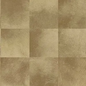  ProSpero Raw Elegance 343-347324 -  1