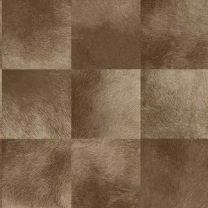  ProSpero Raw Elegance 343-347325 -  1