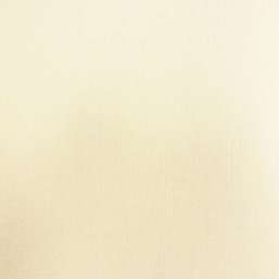  Rasch-Textil Selected 077109