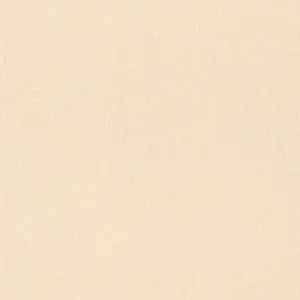  Rasch-Textil Mondaine 095349 -  1