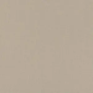  Rasch Poetry 423921 -  1