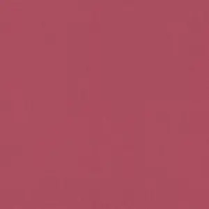  Rasch Poetry 423952 -  1