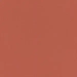  Rasch Poetry 423969 -  1