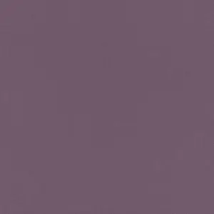  Rasch Poetry 423976 -  1