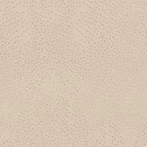  Rasch African Queen 3 751512 -  1