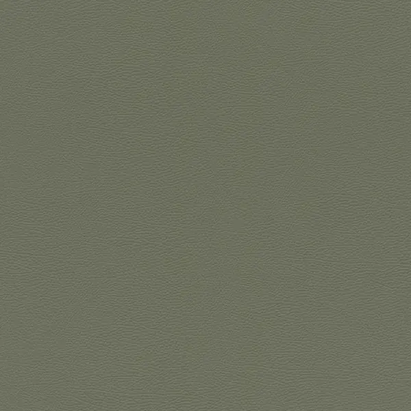  Rasch African Queen 3 752687 -  1
