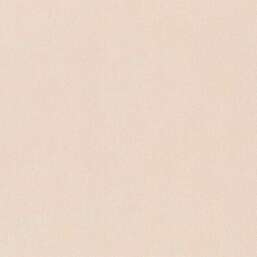 ���� Rasch Alghero 943320