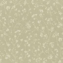 ���� Rasch Alghero 943528