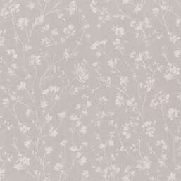 ���� Rasch Alghero 943535