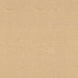  Rasch Allegretto 531367