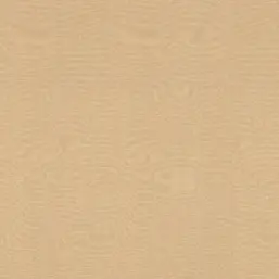  Rasch Allegretto 531367