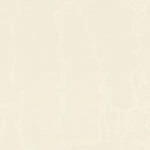  Rasch Amazing 531305r -  1