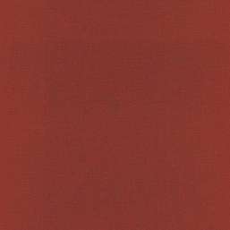  Rasch Amazing 531374