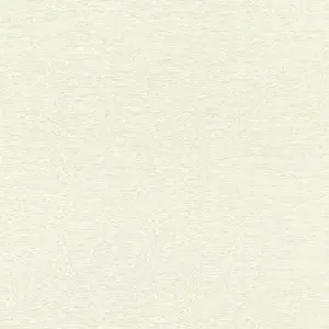  Rasch Amazing 531411 -  1