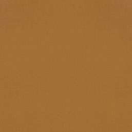  Rasch Amazing 531466