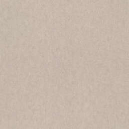 ���� Rasch Ancona 944495