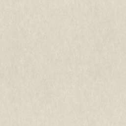���� Rasch Ancona 944631