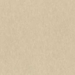 ���� Rasch Ancona 944662