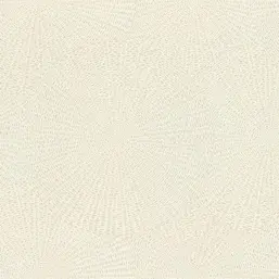  Rasch  Ascona 979237