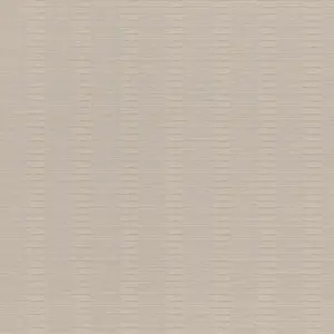  Rasch Axiom 960907 -  1