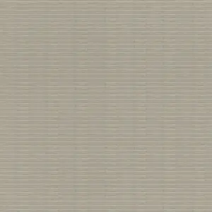  Rasch Axiom 960938 -  1